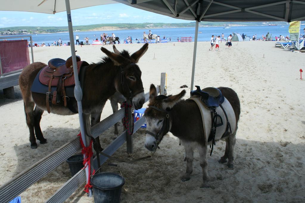 Philbeach 3* Weymouth